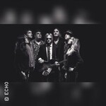 Echo - Tom Petty Tribute Band