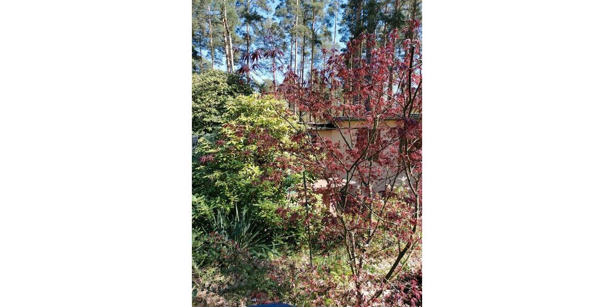 Bungalow Schönebeck (Elbe) - 2 Zimmer, 35 m&sup2;, 59.000&euro; | Angebot:26190656