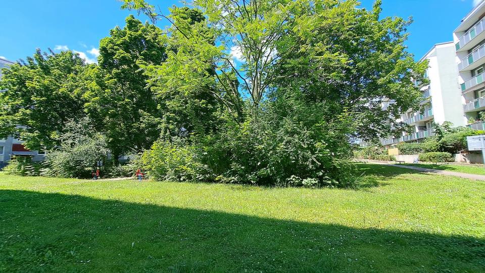 Etagenwohnung Magdeburg Alt Olvenstedt - 3 Zimmer, 56 m&sup2;, 353&euro; | Angebot:25789825