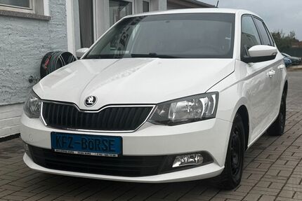Skoda Fabia 114.900 km 8.700 € Burg 39288