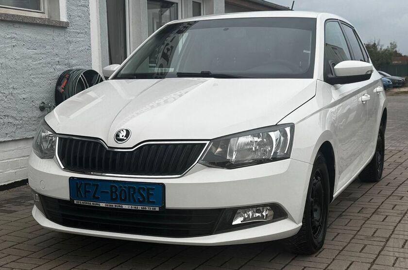 Skoda Fabia 114.900 km 8.700 € Burg 39288