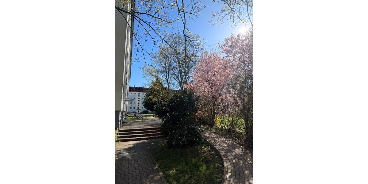 Erdgeschoßwohnung Magdeburg Alte Neustadt - 2 Zimmer, 48 m&sup2;, 352&euro; | Angebot:26614492