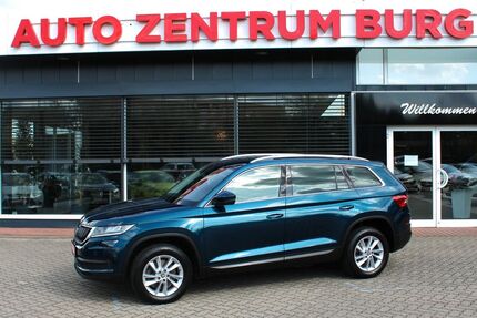 Skoda Kodiaq 133.250 km 22.750 € Burg 39288