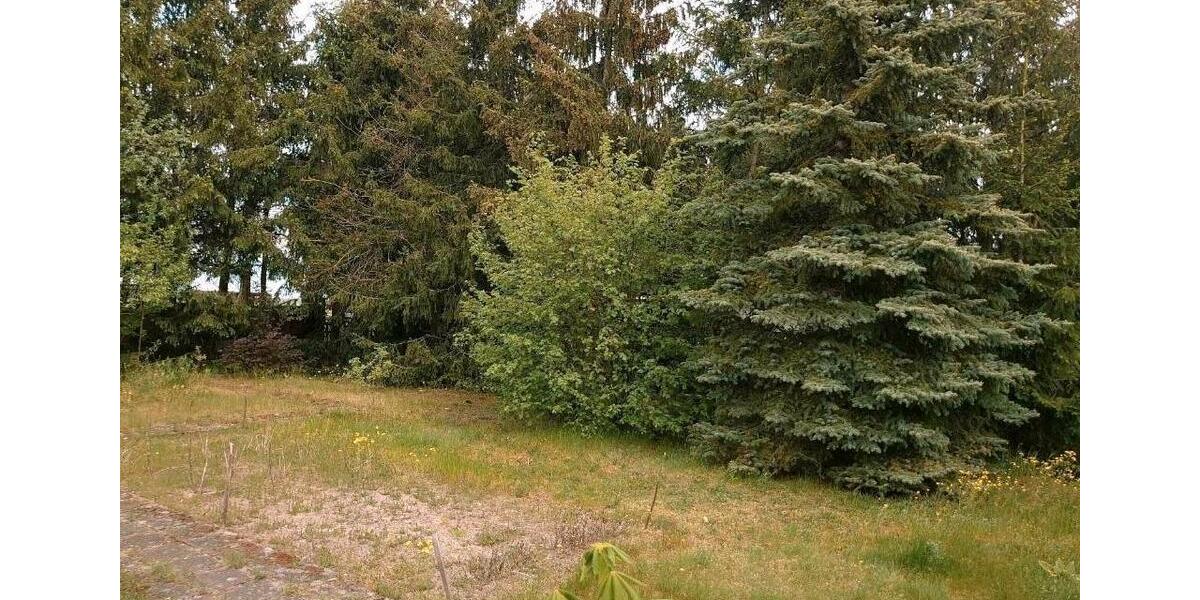 Einfamilienhaus Möckern - 4 Zimmer, 113 m&sup2;, 171.000&euro; | Angebot:26515286