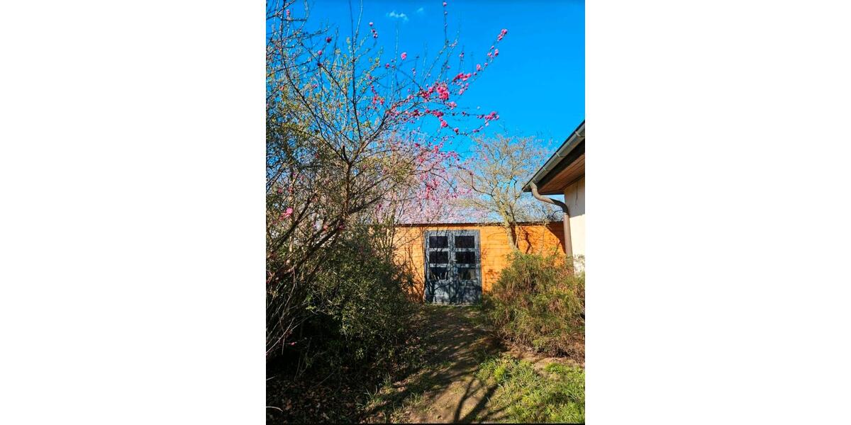 Bungalow Möckern - 5 Zimmer, 125 m&sup2;, 300.000&euro; | Angebot:27417736