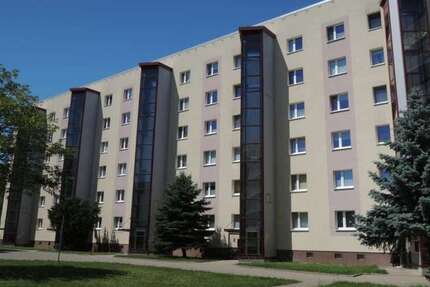 Wohnung zum Mieten in Magdeburg 332,70 € 55.45 m²
