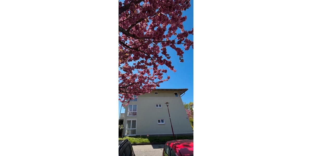 Etagenwohnung Magdeburg Brückfeld - 3 Zimmer, 75 m&sup2;, 955&euro; | Angebot:26551062