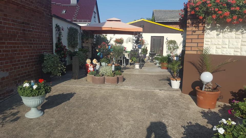 Bungalow mit großem Grundstück, Wintergarten & Pool in Jersleben 4 zimmer