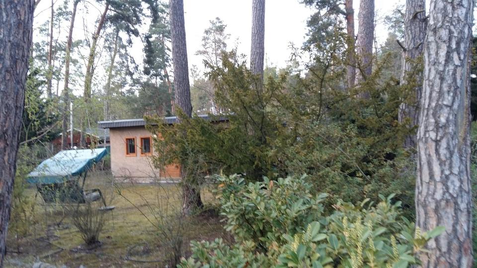 Bungalow Schönebeck (Elbe) Pretzien - 3 Zimmer, 40 m&sup2;, 60.000&euro; | Angebot:26322039