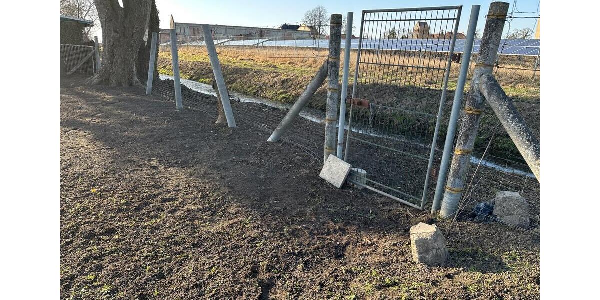 Grundstück Burg - 13.650&euro; | Angebot:25300591