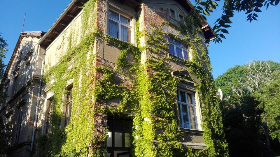 Villa Bördeland - 31 Zimmer, 1.100 m&sup2;, 490.000&euro; | Angebot:26059700