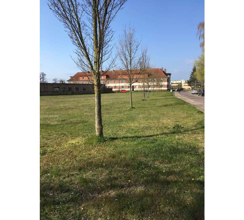 Grundstück zu verkaufen in Burg 800.000 € 4100 m²