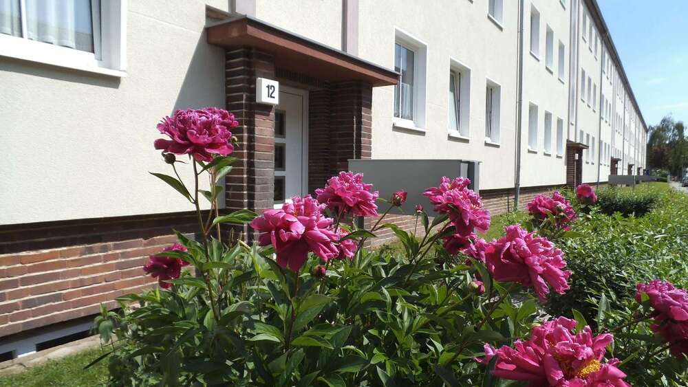 Etagenwohnung Magdeburg Diesdorf - 2 Zimmer, 65 m&sup2;, 480&euro; | Angebot:27304851