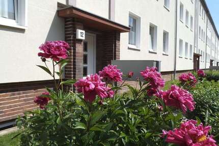 Wohnung Magdeburg Diesdorf - 2 Zimmer, 65 m&sup2;, 480&euro; | Angebot:27304851