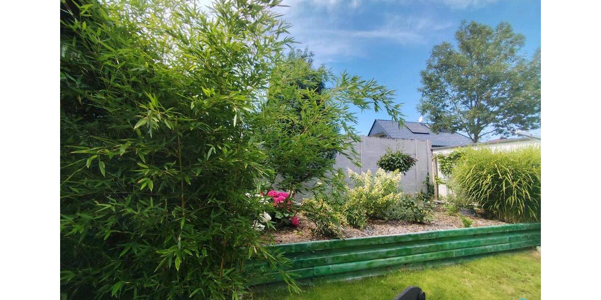 Einfamilienhaus Burg - 7 Zimmer, 160 m&sup2;, 220.000&euro; | Angebot:26120503