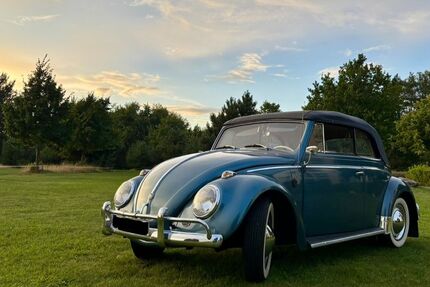 VW Käfer 164.000 km 27.000 € Magdeburg 39110