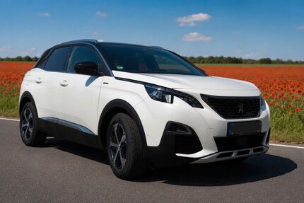 Peugeot 3008 96.000 km 17.990 &euro; Biederitz 39175