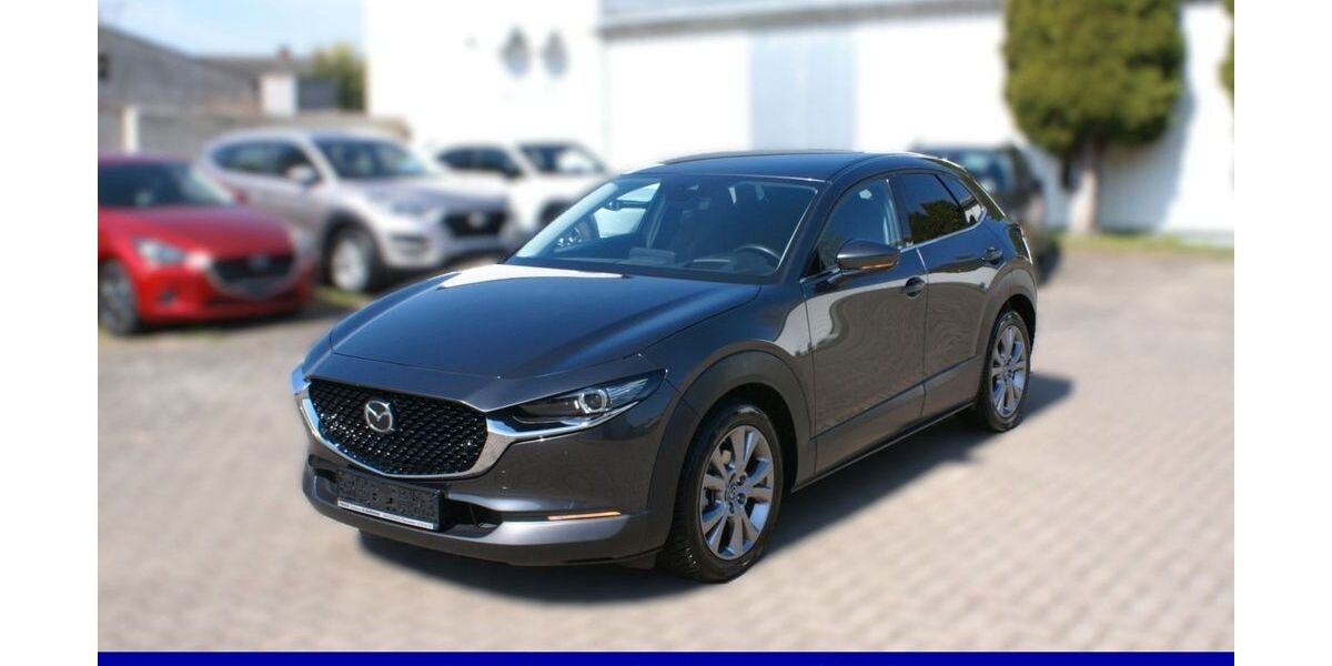 Mazda CX-30 19.916 km 24.490 &euro; Magdeburg 39116