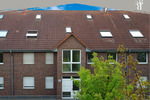 Idyllischer Rückzugsort im Grünen: Gepflegte 2-RaumWohnung in Irxleben