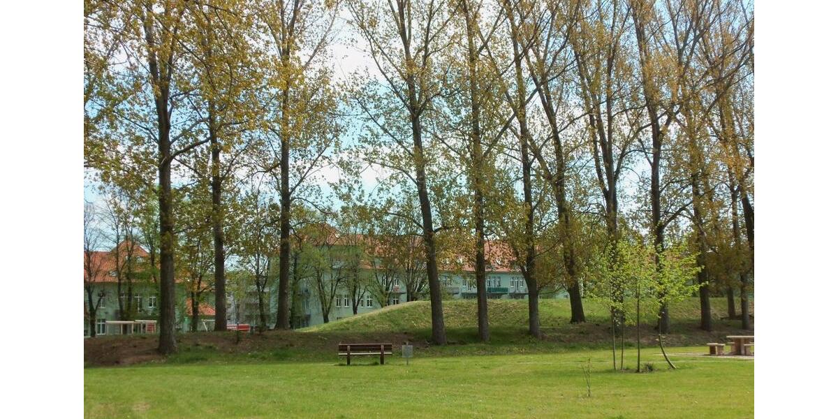Erdgeschoßwohnung Magdeburg Diesdorf - 1 Zimmer, 45 m&sup2;, 92.500&euro; | Angebot:27016222