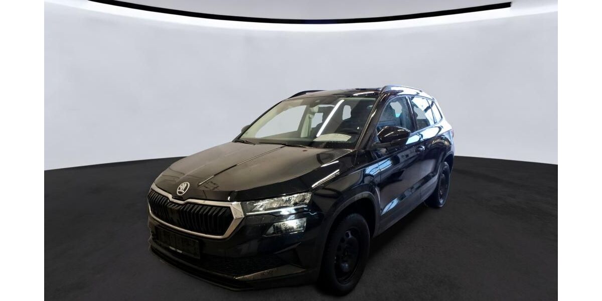 Skoda Karoq 66.300 km 28.940 &euro; Magdeburg 39118