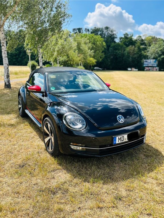 Beetle