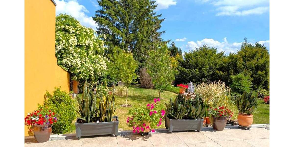 Doppelhaushälfte Barleben - 3 Zimmer, 130 m&sup2;, 295.000&euro; | Angebot:25669399