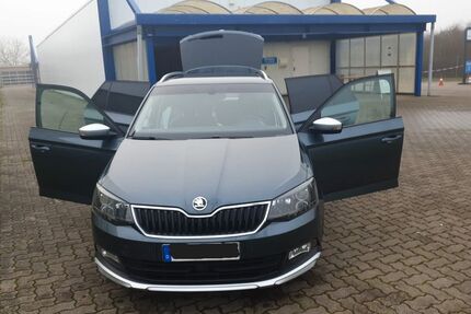 Skoda Fabia 230.000 km 9.000 &euro; Mahlwinkel 39517