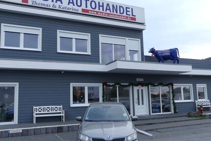 Skoda Fabia 130.000 km 8.000 &euro; Magdeburg 39108