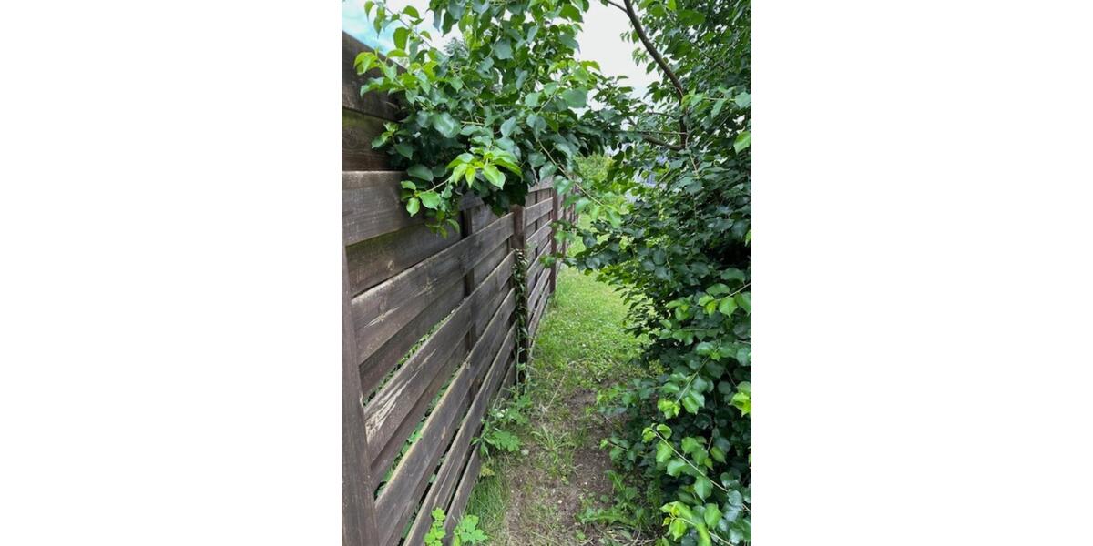 Grundstück Hohe Börde - 5.555&euro; | Angebot:17593869