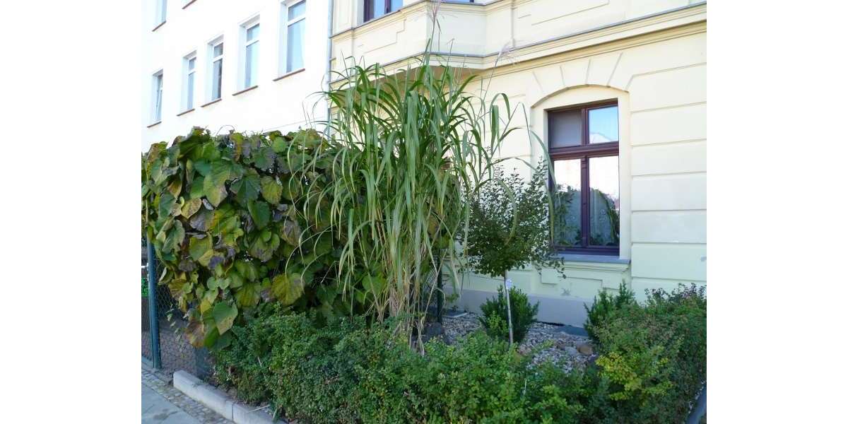 Etagenwohnung Magdeburg Sudenburg - 4 Zimmer, 109 m&sup2;, 135.000&euro; | Angebot:26472325