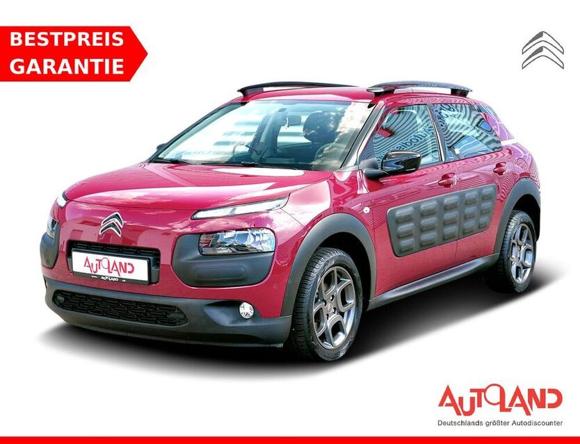 C4 Cactus