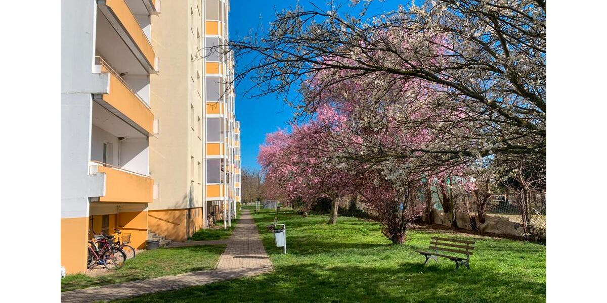 Etagenwohnung Calbe (Saale) - 1 Zimmer, 33 m&sup2;, 220&euro; | Angebot:11817317