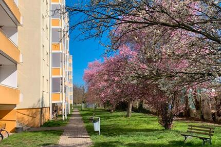 Wohnung Calbe (Saale) - 1 Zimmer, 33 m&sup2;, 220&euro; | Angebot:11817317