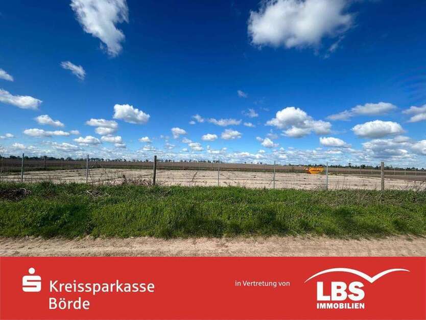 Grundstück in Wanzleben-Börde 77.000 € 1927 m²