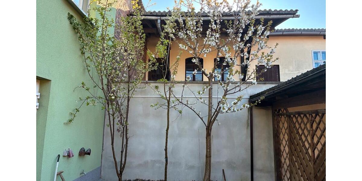 Einfamilienhaus Möckern - 219.000&euro; | Angebot:26199115