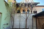 Einfamilienhaus Möckern - 219.000&euro; | Angebot:26199115