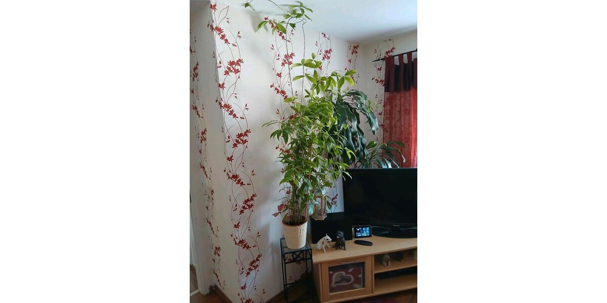 Nachmieter 2 Raum Wohnung Magdeburg Hopfengarten 2 zimmer