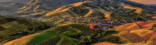 Rappbodetalsperre Harzdrenalin