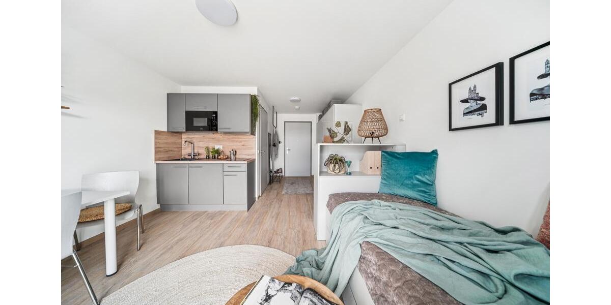 Erdgeschoßwohnung Magdeburg Alte Neustadt - 1 Zimmer, 33 m&sup2;, 490&euro; | Angebot:24584889