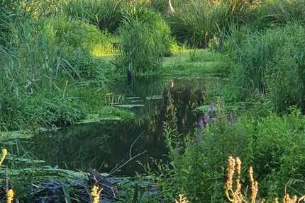 Grundstück in Möckern 499.999 € 59752 m² zimmer