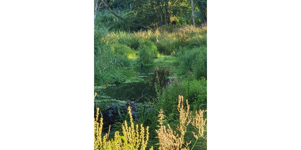 Grundstück Möckern - 499.999&euro; | Angebot:8620736