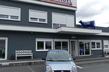 Ford Fiesta 61.000 km 3.500 &euro; Magdeburg 39108