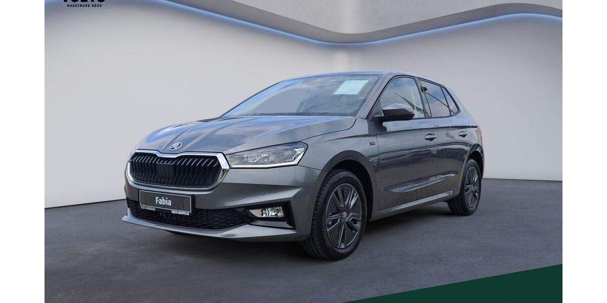 Skoda Fabia 13.732 km 20.170 &euro; Magdeburg 39126