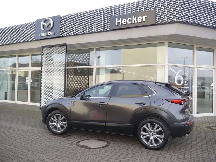 Mazda CX-30 3.000 km 30.800 € Schönebeck 39218
