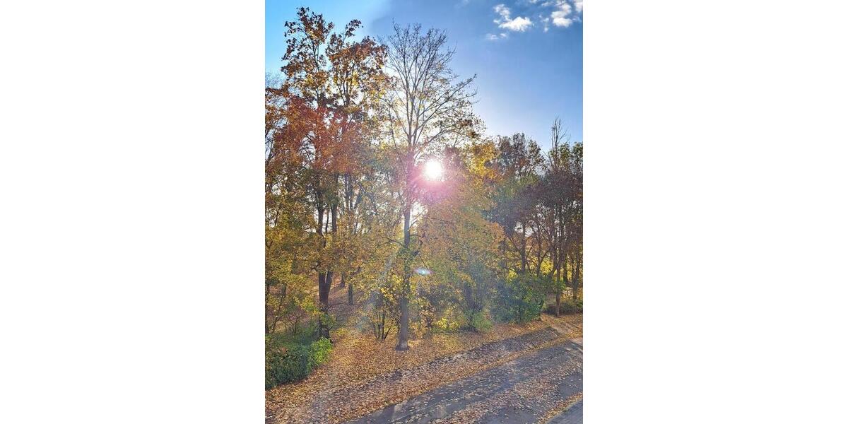 Etagenwohnung Magdeburg Diesdorf - 4 Zimmer, 99 m&sup2;, 1.168&euro; | Angebot:24884931