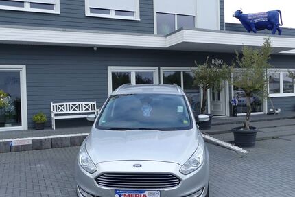 Ford Galaxy 173.000 km 13.900 € Magdeburg 39108
