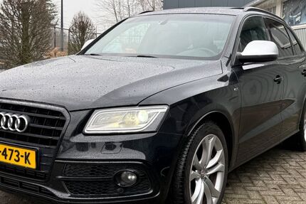 Audi SQ5 233.251 km 15.925 &euro; Borne 7621 