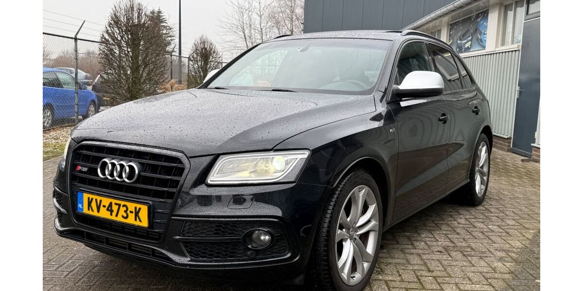Audi SQ5 233.251 km 15.925 &euro; Borne 7621 
