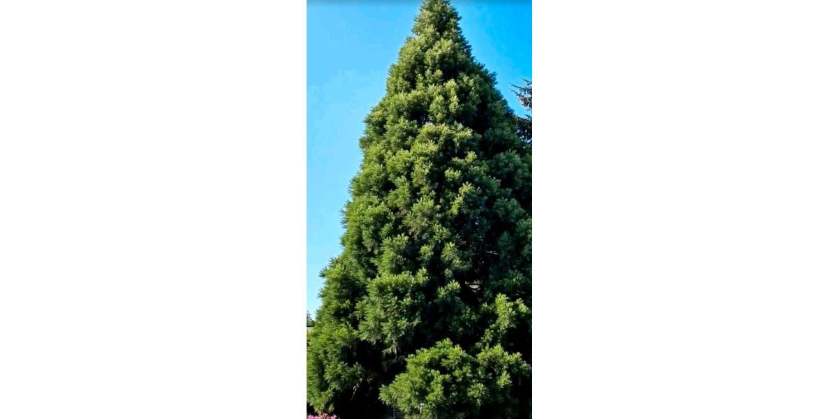 Einfamilienhaus Bördeland - 14 Zimmer, 224 m&sup2;, 389.000&euro; | Angebot:25233224